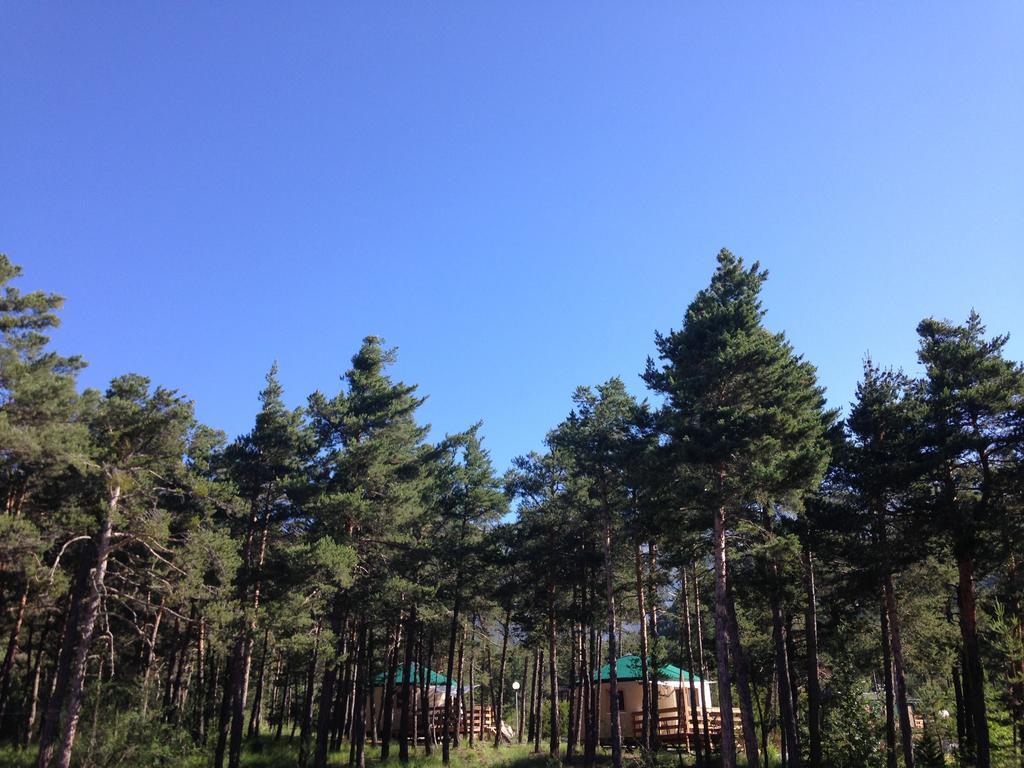 Parc Residentiel De Loisir : Le Loup Blanc Du Riou Hotel บาร์เซอลอนเน็ต ภายนอก รูปภาพ